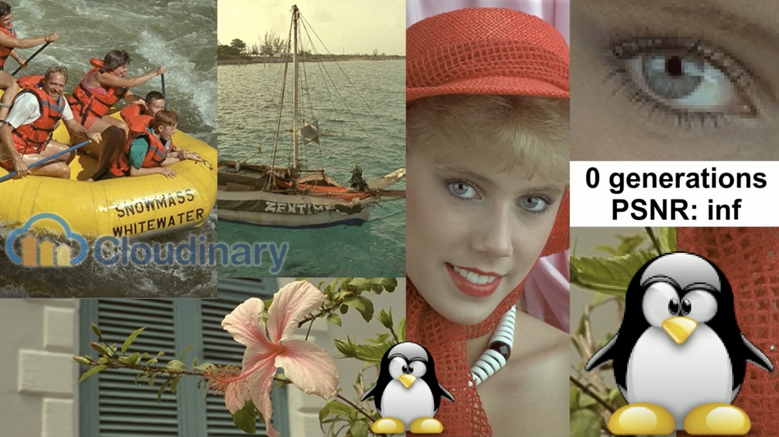 A photo montage before any compression cycles (PSNR: infinite).